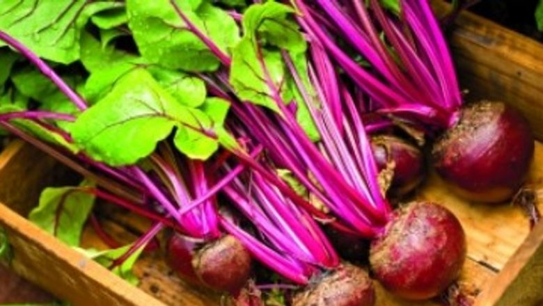 Sfecla Roșie: Superalimentul Care Luptă Împotriva Anemiei și Nu Numai