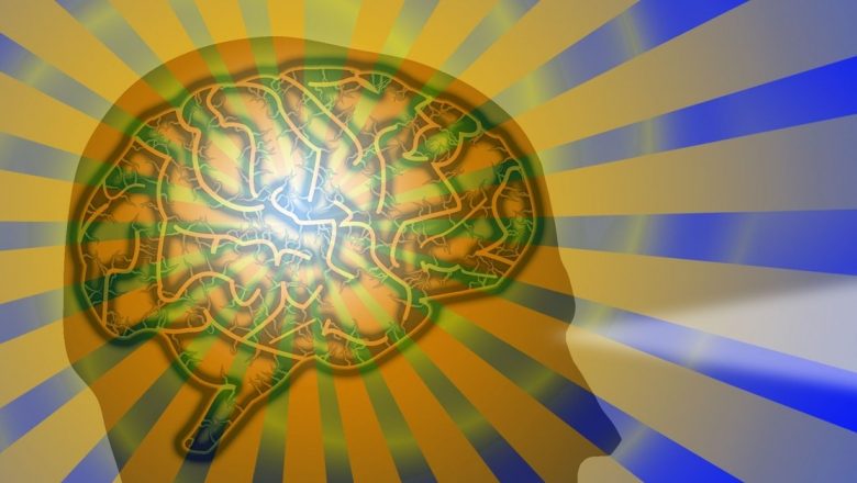 Hrana Minții: Cum să Îmbunătățim Capacitatea Cognitivă a Copiilor prin Alimentație