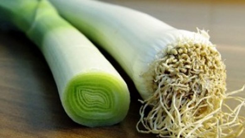 Remedii Naturale pentru Infecțiile Urinare: Eficiența Prazului și a Altora