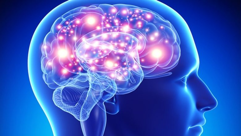 Legătura dintre Sânge și Inteligență: O Analiză Profundă a Impactului Fluxului Sanguin Asupra Funcțiilor Cognitive