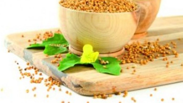 Muştarul: Remediul Natural pentru Durerile de Cap și Nu Numai