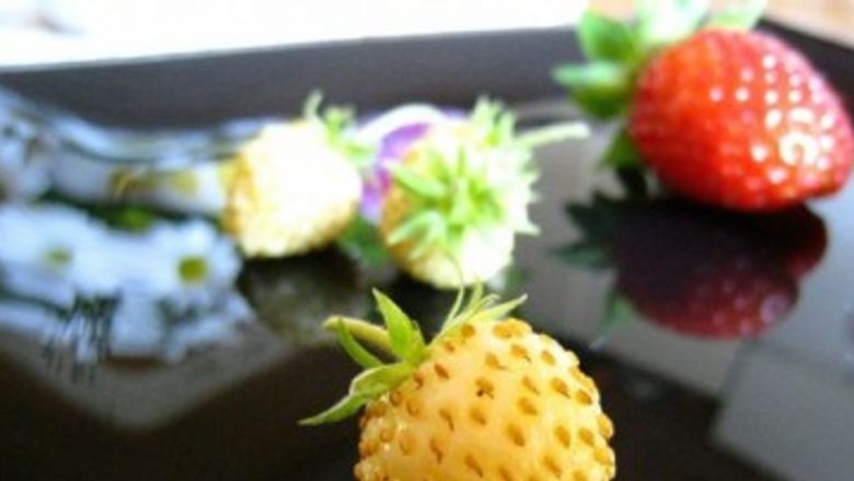 Beneficiile surprinzătoare ale căpșunilor albe: O delicatesă sănătoasă și nutritivă