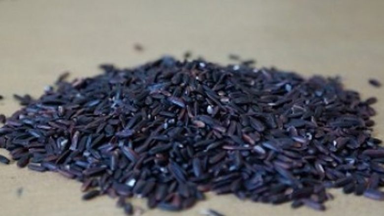 Orezul Negru: Superalimentul Care Combate Oboseala și Îmbunătățește Sănătatea