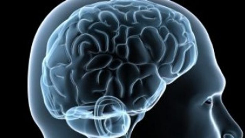 Descoperiri genetice revoluționare: Genele care influențează inteligența umană