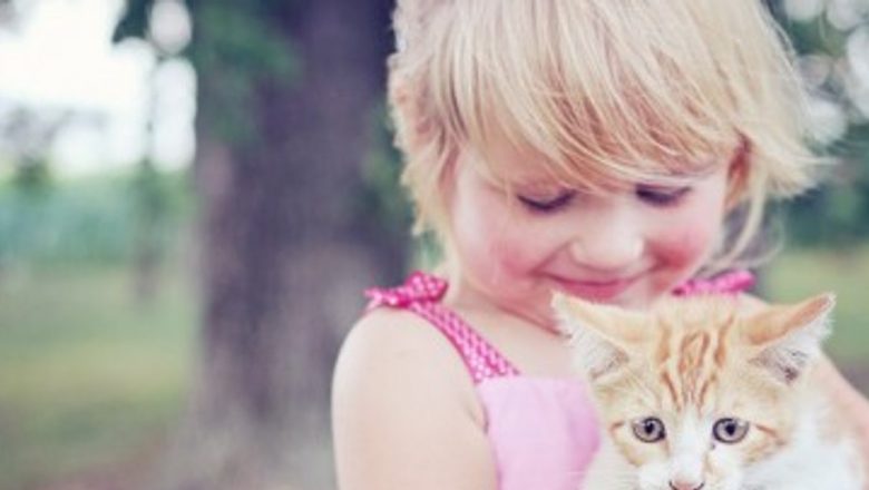 Impactul Părului Animalelor de Companie Asupra Sănătății Nou-Născuților: Mituri și Realitate
