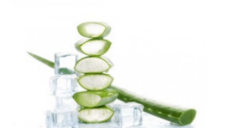 Beneficiile și Utilizările Gelului de Aloe Vera: De Ce Să Îl Congelăm?