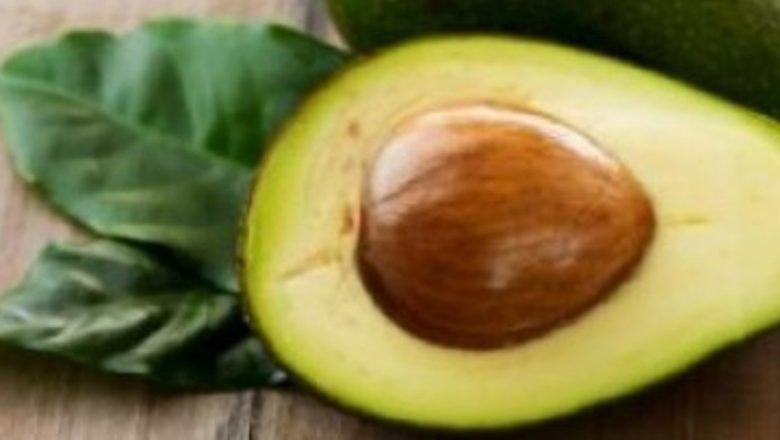 Avocado: Superalimentul care transformă mesele în experiențe sănătoase