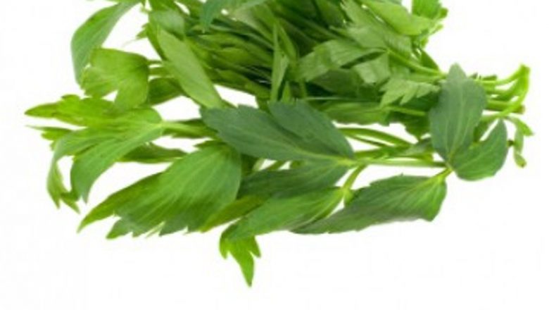 Leuşteanul: Plantele Medicinale care Îţi Transformă Silueta pentru Plajă