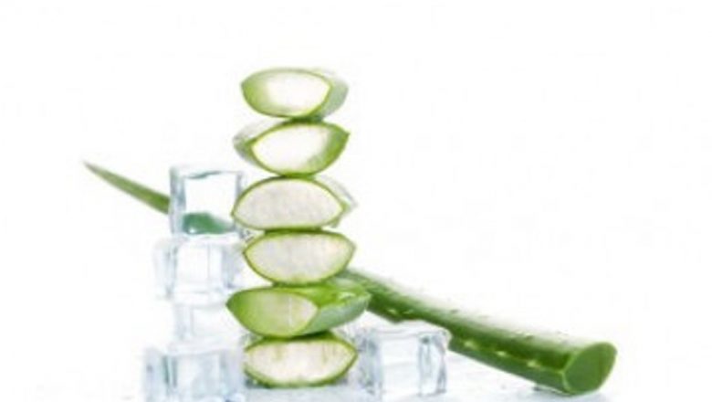 Beneficiile și Utilizările Gelului de Aloe Vera: De ce să Îl Congelăm?