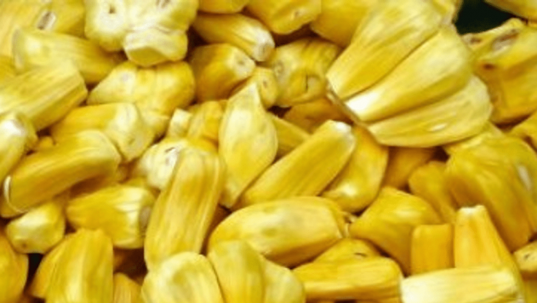 Jackfruit: Fructul cu Gust de Carne care Revoluționează Alimentația Sănătoasă
