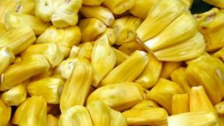 Jackfruit: Fructul cu Gust de Carne și Beneficiile Sale Nutriționale