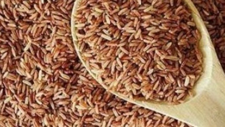 Strategii Alimentare și Naturale pentru a Ține Ţânțarii la Distanță