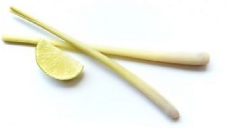 Beneficiile Lemongrass: O Lumină în Lupta Împotriva Îmbătrânirii Premature