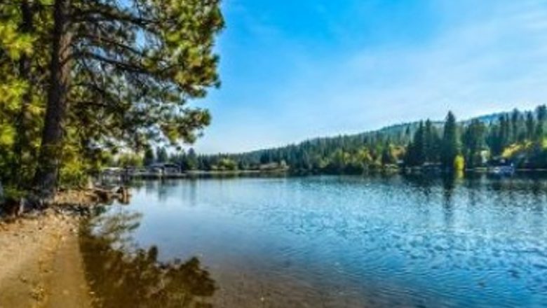 Puterea sunetelor din natură: Cum ne ajută la combaterea stresului și îmbunătățirea sănătății mentale