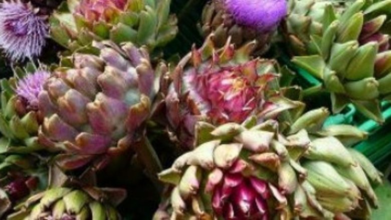 Remediile Naturale pentru Problemele Biliare: O Analiză Detaliată a Soluțiilor Fitoterapeutice