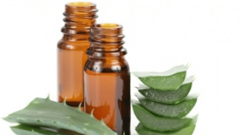 Aloe Vera: Soluții Naturale pentru Problemele Pielii – Eficiență și Beneficii