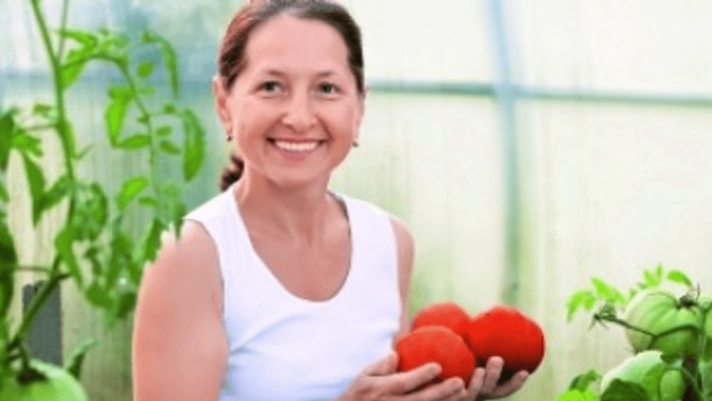 Roșiile: Superalimentul Care Îmbunătățește Sănătatea și Previne Bolile