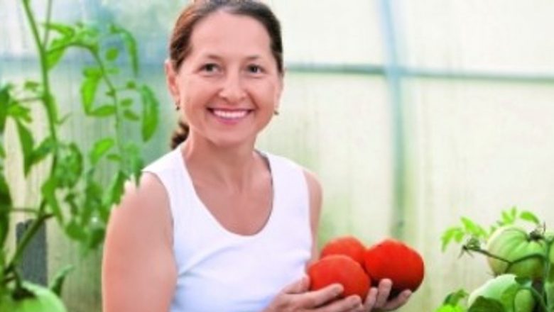 Roșiile: Superalimentele care ne protejează sănătatea și longevitatea