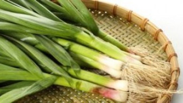 Usturoiul: Superalimentul care poate reduce riscul cancerului pulmonar pentru fumători