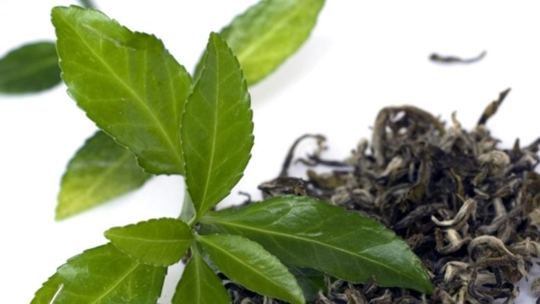 Alimentele ca aliați în combaterea depresiei: Ceaiul verde și nu numai