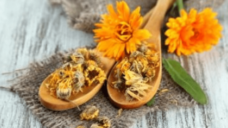 Leacuri Naturale cu Efect Cicatrizant: Soluții pentru Rănile și Iritțiile Pielii