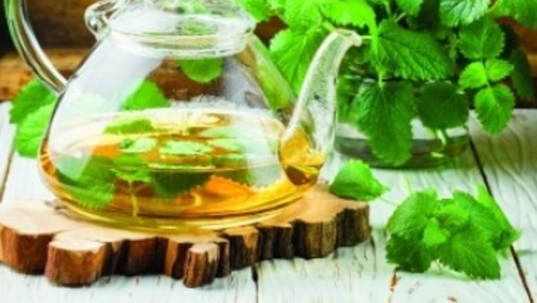 Roiniţa: Planta care îţi readuce relaxarea şi îmbunătăţeşte sănătatea