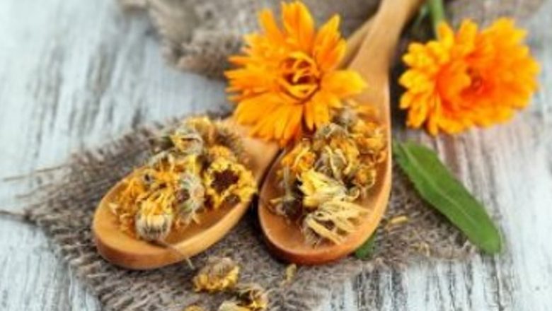 Leacuri Naturale cu Efect Cicatrizant: O Privire Detaliată Asupra Tratamentelor cu Plante