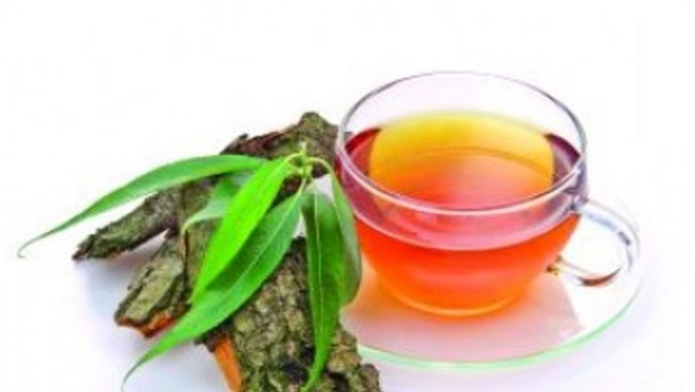 Plante Medicinale cu Proprietăți Analgezice: Alternativa Naturală la Aspirină