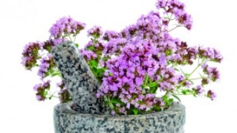 Beneficiile suprinzătoare ale sovârfului: un remediu natural pentru afecțiuni diverse