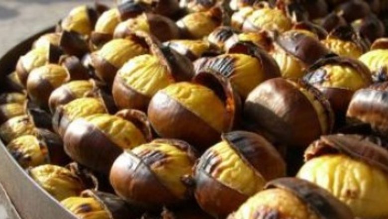 Beneficiile surprinzătoare ale castanelor: De la circulația sângelui la tratarea reumatismului