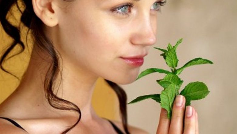 Îmbunătățirea Vieții prin Practicile Ayurvedice: Ghid Complet pentru Sănătate și Echilibru