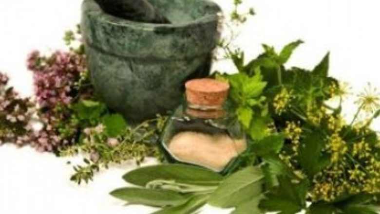 Plantele Medicinale: Aliate În Procesul de Vindecare și Întărirea Sănătății