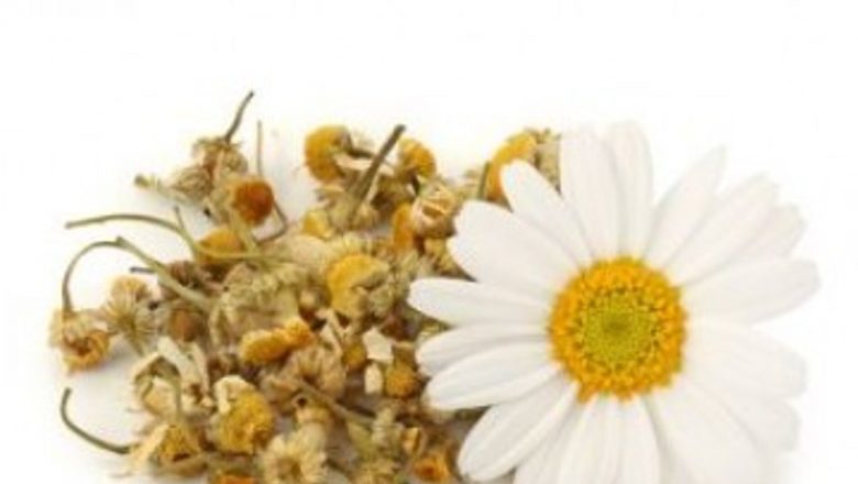 Compresele cu Ceai de Muşeţel: Soluţia Naturală pentru Calmarea Durerilor de Ureche