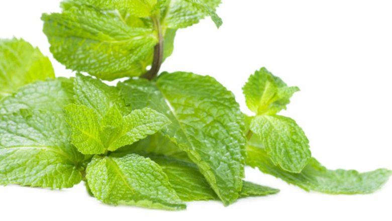Remediile Naturale pentru Echilibrarea Psihică: Menta și Mușețelul ca Soluții pentru Stres și Insomnie