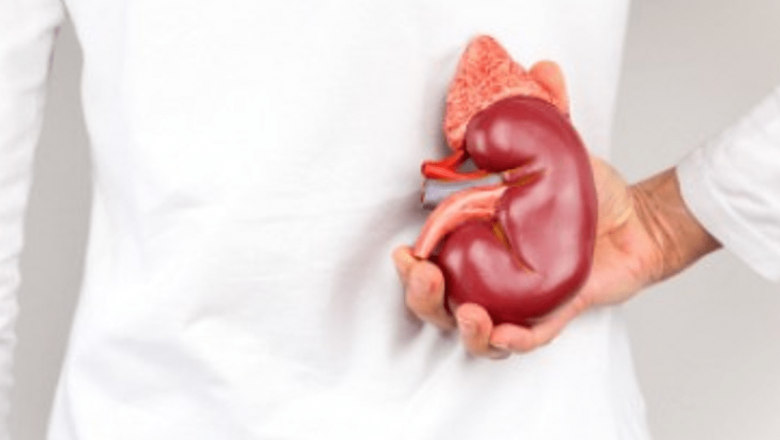 Îngrijirea rinichilor: cum să menții sănătatea acestui organ vital