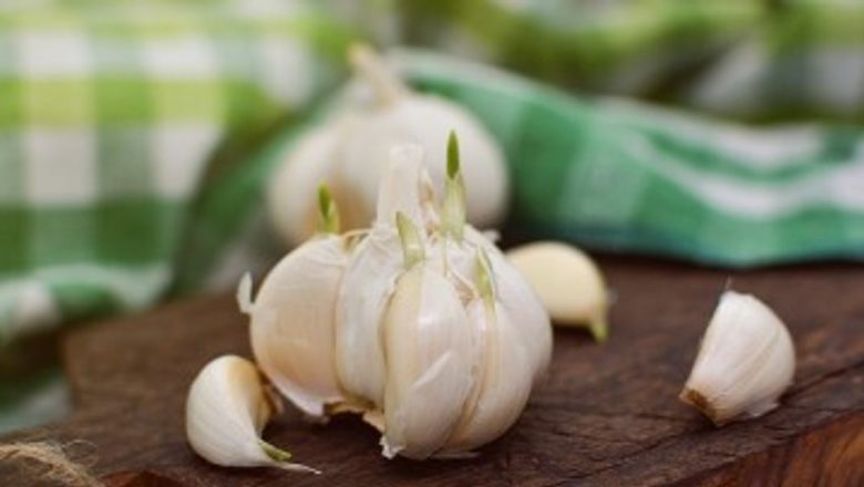 Usturoiul: Un Remediu Natural cu Beneficii Incredibile pentru Sănătate