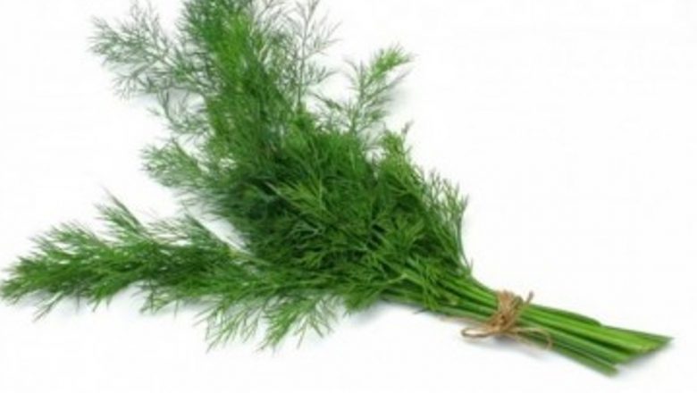 Mărarul: O Plantă Medicinală cu Beneficii Remarcabile pentru Sănătate