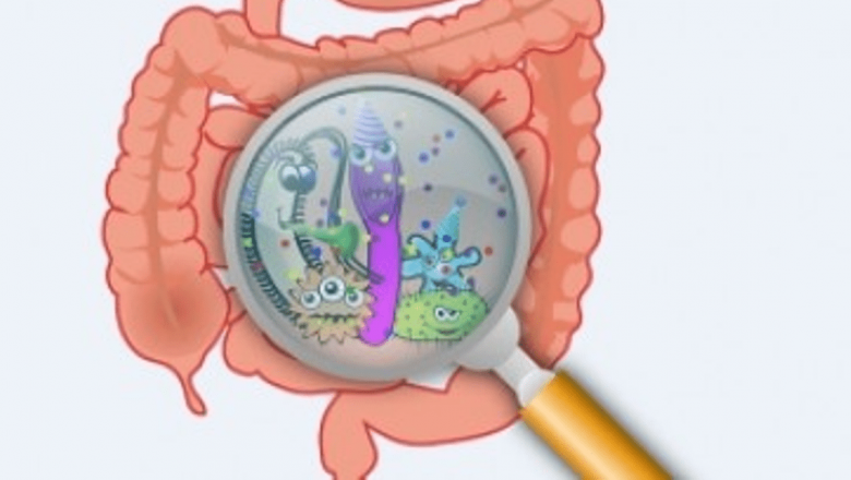 Influența bacteriilor intestinale asupra greutății corporale: Un univers microscopic esențial pentru sănătate