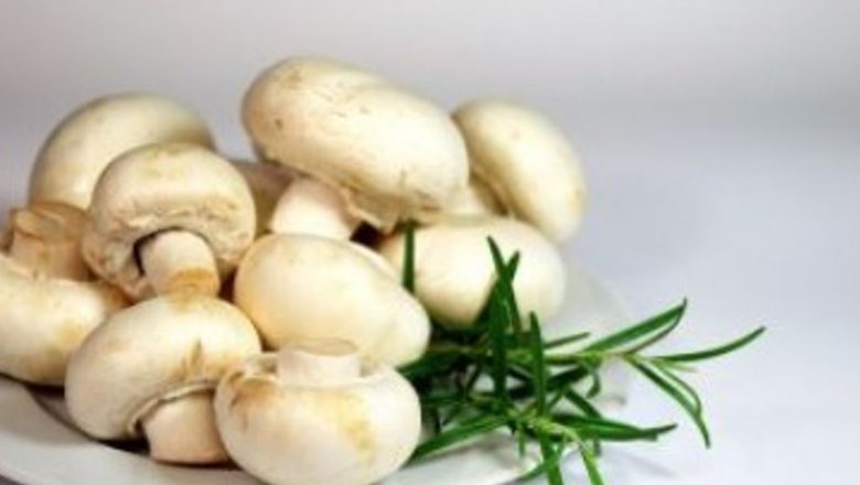 Îmbunătățește-ți Sănătatea cu Alimente Sănătoase: Alge, Ciuperci, Conopidă și Turmeric