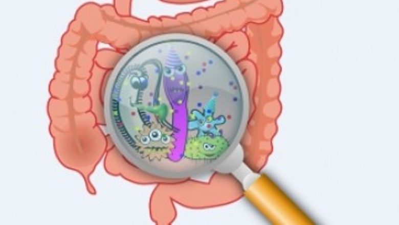 Impactul bacteriilor intestinale asupra greutății corporale: O analiză detaliată