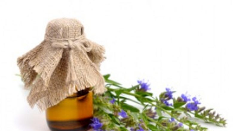 Isopul: O Plante Medicinală cu Beneficii pentru Sănătatea Respiratorie
