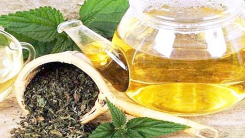 Efectele adverse ale urzicii: Ce trebuie să știi despre utilizarea acestei plante medicinale