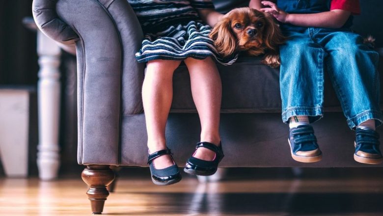 Ghid Complet pentru Alegerea Încălțămintei Potrivite pentru Copii: Sănătate și Stil