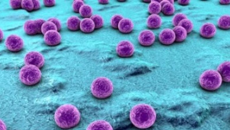 Stafilococul Auriu: Recunoașterea și Combaterea Infecțiilor Stafilococice