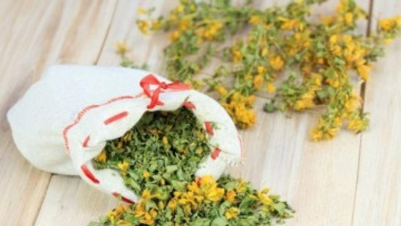 Remedii Naturale cu Efect Antibacterian: Beneficiile Aloe Vera, Gălbenele și Mușețel
