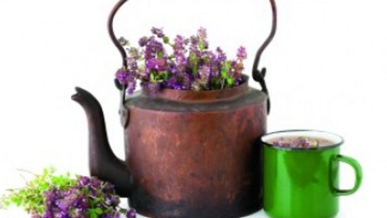 Remedii Naturale pentru Afecțiunile Hepatice: O Privire Detaliată Asupra Plantelor Medicinale