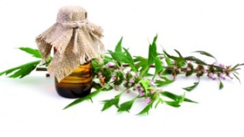 Plantele care reglează funcția tiroidei: Soluții naturale pentru hipotiroidie și hipertiroidie