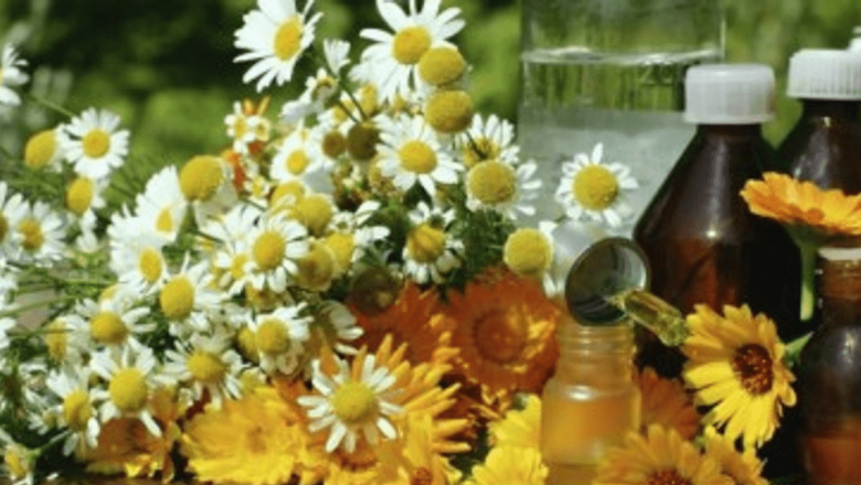 Remedii Naturale pentru Transpirația Excesivă: Soluții Eficiente și Perspective Pe Termen Lung