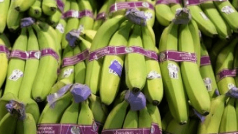 Explorarea Dietei cu Banane Verzi: Beneficii, Principii și Implicații pentru Sănătate