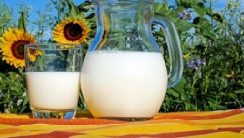 Beneficiile surprinzătoare ale laptelui de capră pentru cei cu intoleranță la lactoză